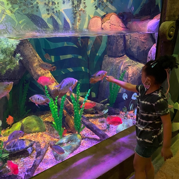 Meet your Posher, Janelle - Picture 1 of 1